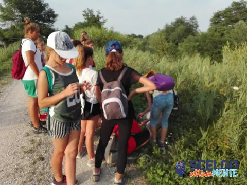 Laboratorio STEAM: professione natura - La guida ambientale escursionistica